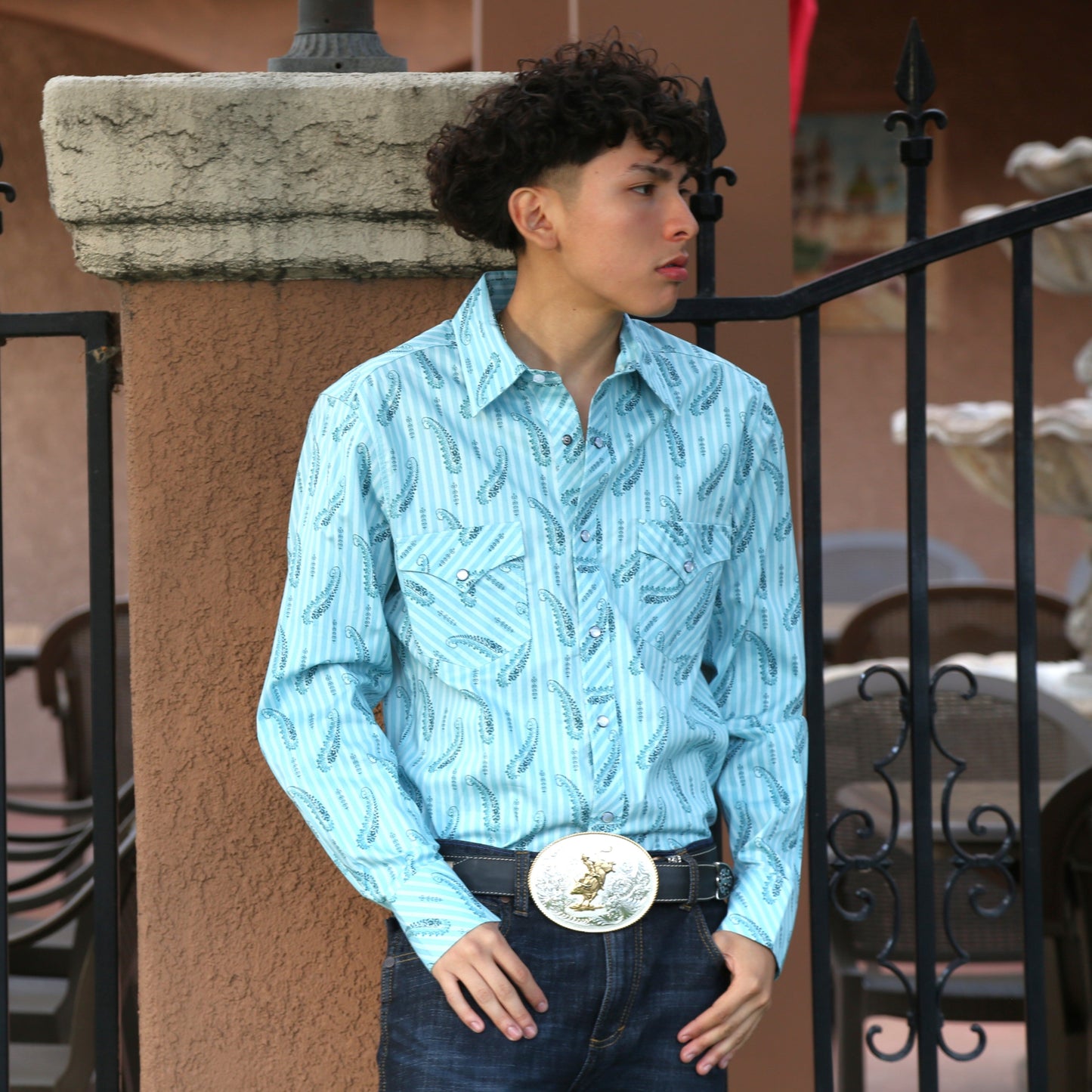 Turquoise Paisley Stripe Snap