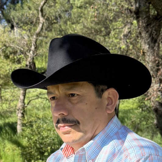 6X Guadalupana Black Hat