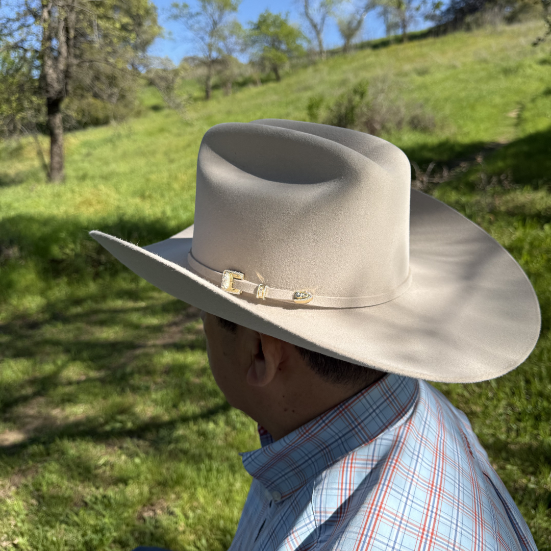 6X Guadalupana Silverbelly Hat