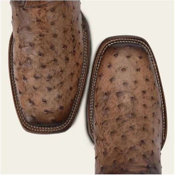 Ostrich Honey Exotic Western Boot