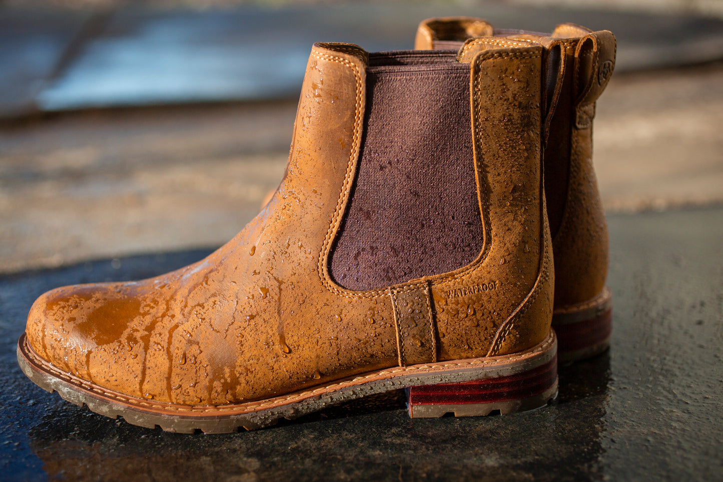 Wexford Waterproof Chelsea Boot