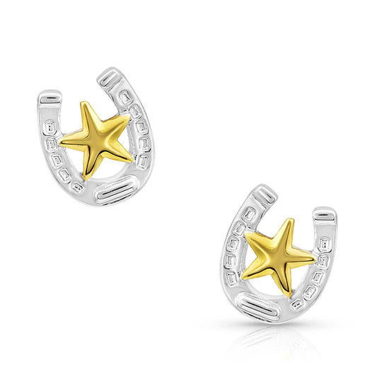 Small Stars & Horseshoe Post Earrings | ER803